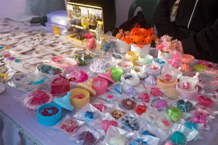 MSC STEM Fest 2025 — photo 3
