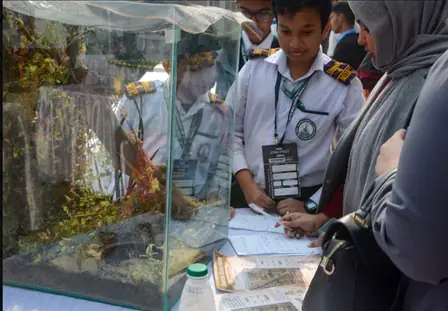 MSC STEM Fest 2025 — photo 5